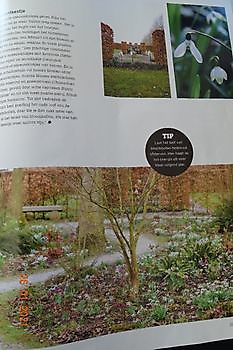 Tuinfleur in Buitenleven - Het Tuinpad Op / In Nachbars Garten