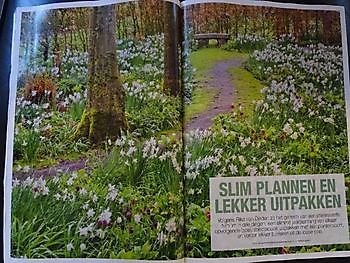  - Het Tuinpad Op / In Nachbars Garten