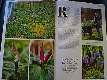 Slim plannen en lekker uitpakken - Het Tuinpad Op / In Nachbars Garten