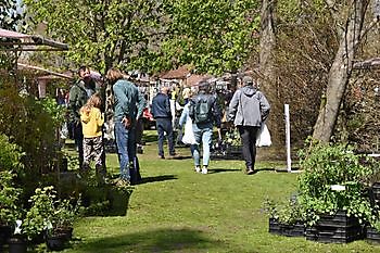 Noordelijke Kwekerijdagen - Het Tuinpad Op / In Nachbars Garten