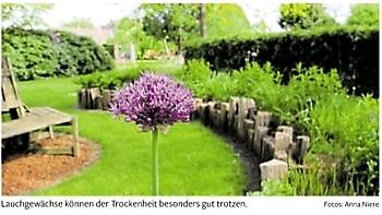 So bleibt der Garten grün - Het Tuinpad Op / In Nachbars Garten