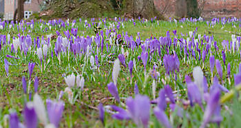  - Het Tuinpad Op / In Nachbars Garten