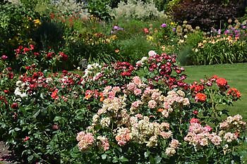 Zomercontactdag 2023 - Het Tuinpad Op / In Nachbars Garten