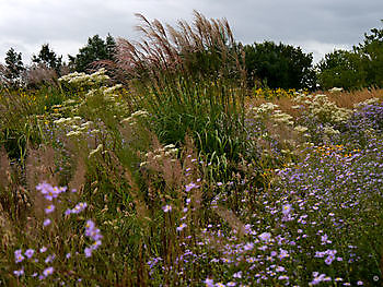  - Het Tuinpad Op / In Nachbars Garten