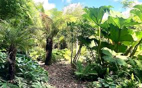 Inspirierend - Tuingoed Foltz - Het Tuinpad Op / In Nachbars Garten