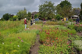 zomercontactdag voor tuineigenaren - Het Tuinpad Op / In Nachbars Garten