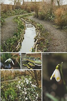 In DE TUIN in vier seizoenen - Het Tuinpad Op / In Nachbars Garten