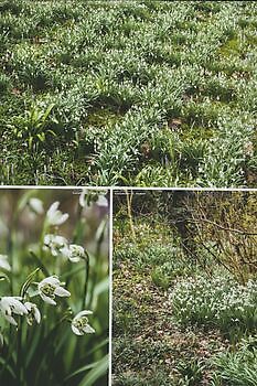 In DE TUIN in vier seizoenen - Het Tuinpad Op / In Nachbars Garten
