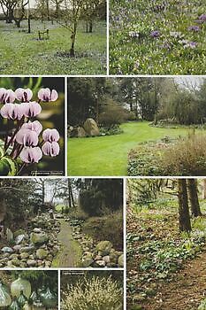 In DE TUIN in vier seizoenen - Het Tuinpad Op / In Nachbars Garten