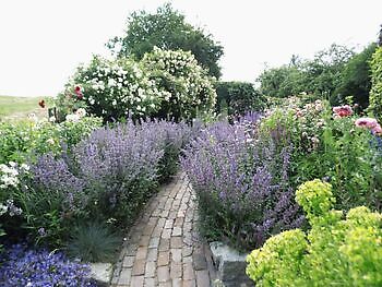 Gartenrundgang hinterm Deich - Het Tuinpad Op / In Nachbars Garten