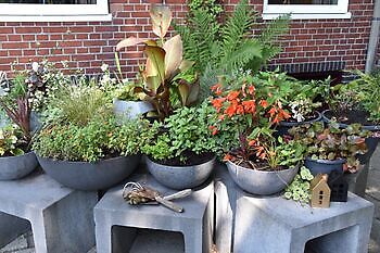 zomercontactdag - Het Tuinpad Op / In Nachbars Garten