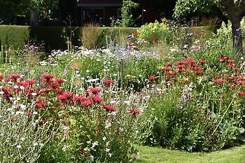 zomercontactdag - Het Tuinpad Op / In Nachbars Garten
