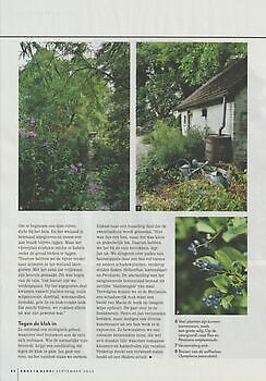 Laat het gaan. - Het Tuinpad Op / In Nachbars Garten