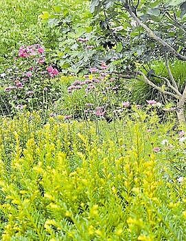 Paradiesisch schön zum Innehalten - Het Tuinpad Op / In Nachbars Garten