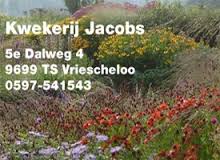 Kwekerij Jacobs Vriescheloo