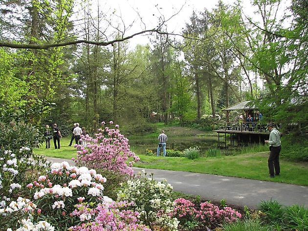 Arboretum Notoarestoen Eenrum - Het Tuinpad Op / In Nachbars Garten