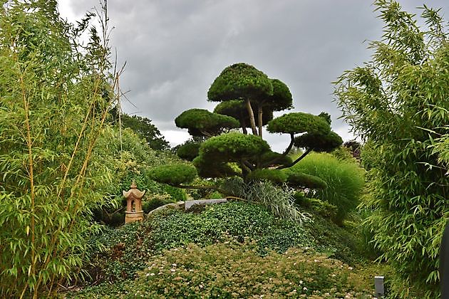  - Het Tuinpad Op / In Nachbars Garten