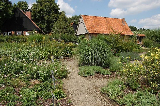  - Het Tuinpad Op / In Nachbars Garten