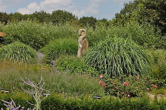 Kruidentuin Heimatverein Kirchspiel Emsburen e.V. Emsbüren - Het Tuinpad Op / In Nachbars Garten