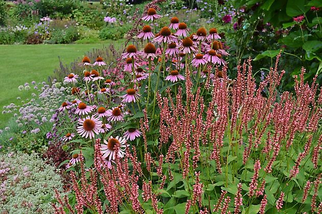 Vechtetal Garten Laar