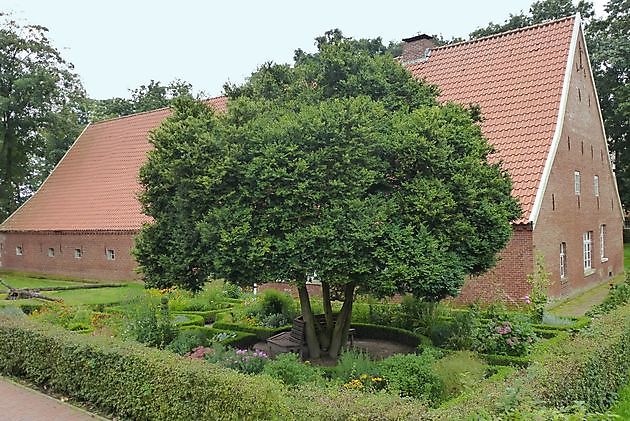 Bauerngarten des Heimatvereins Oberlangen Oberlangen