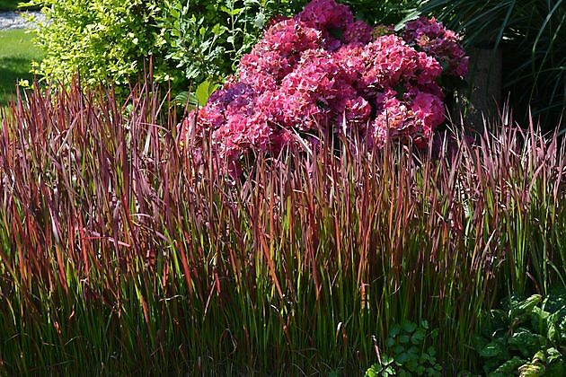  - Het Tuinpad Op / In Nachbars Garten