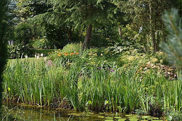De Westerwoldse Lelie Jipsinghuizen - Het Tuinpad Op / In Nachbars Garten