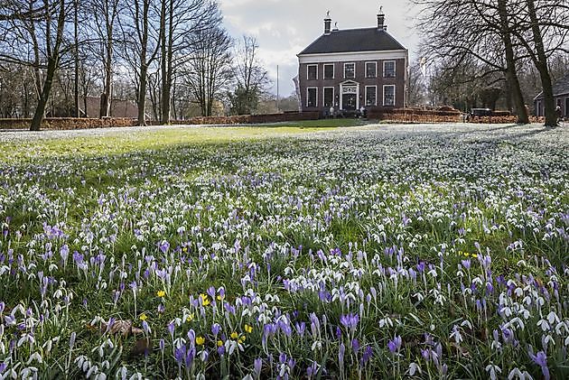  - Het Tuinpad Op / In Nachbars Garten