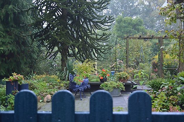 De Groene Weelde Drouwenermond - Het Tuinpad Op / In Nachbars Garten