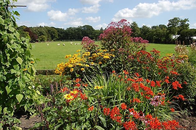  - Het Tuinpad Op / In Nachbars Garten