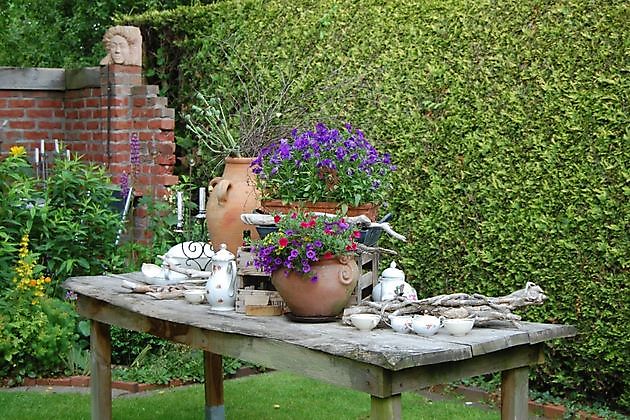  - Het Tuinpad Op / In Nachbars Garten