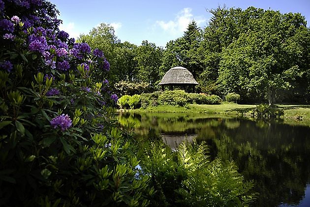 Lütetsburger Schlosspark Hage-Lütetsburg