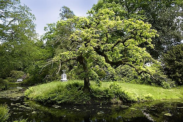  - Het Tuinpad Op / In Nachbars Garten