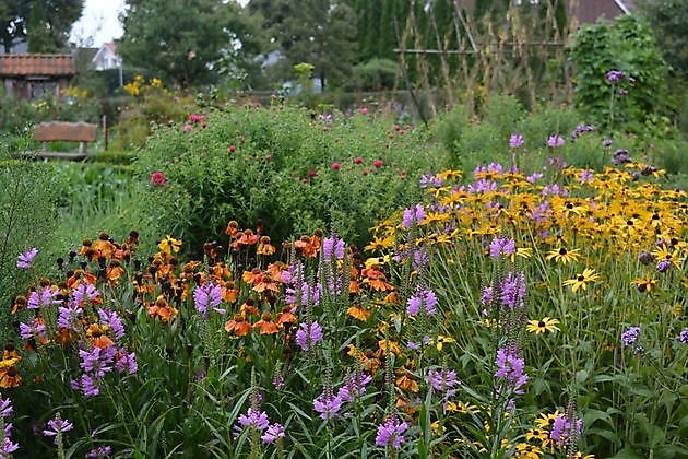 Bauerngarten des Heimatvereins Oberlangen Oberlangen