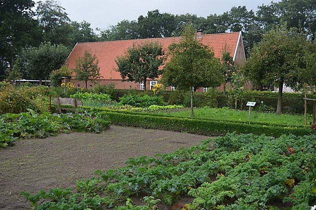 Bauerngarten des Heimatvereins Oberlangen Oberlangen