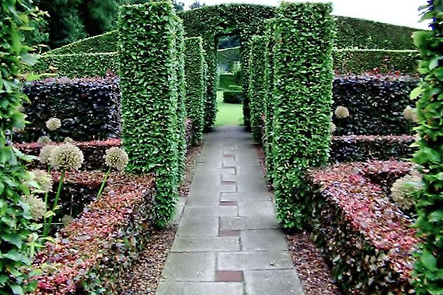 Tuinfleur Oostwold - Het Tuinpad Op / In Nachbars Garten