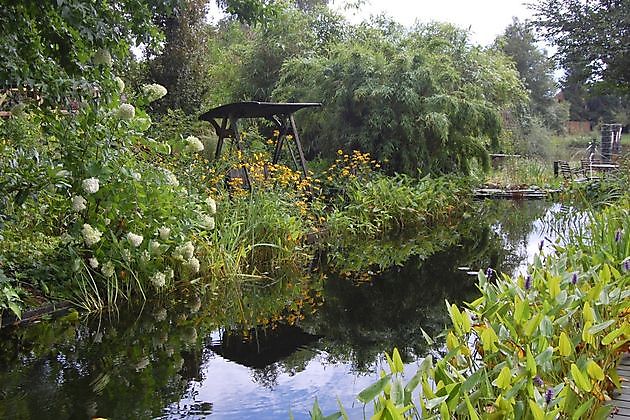 Wassergarten Ostrhauderfehn