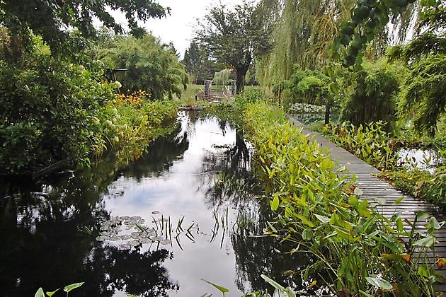 Wassergarten Ostrhauderfehn