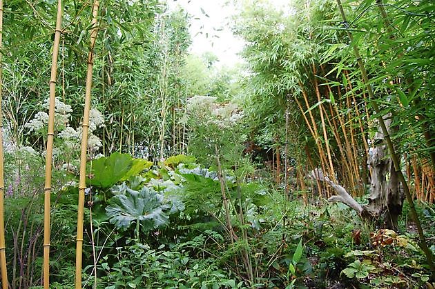  - Het Tuinpad Op / In Nachbars Garten