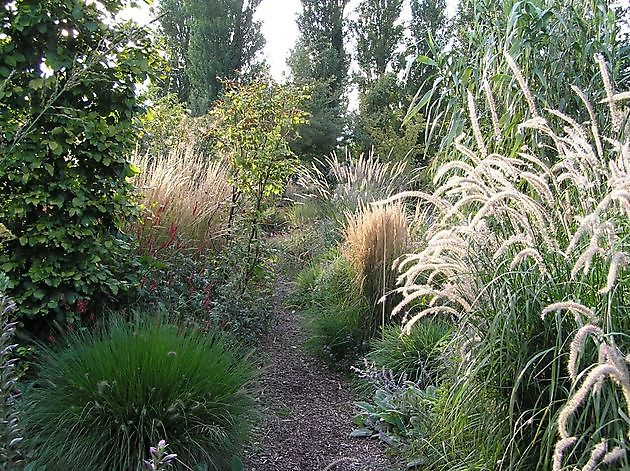 Kwekerij en Kijktuin Aan de Dijk Oudeschip