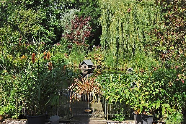 Tuin de Winter Uithuizen - Het Tuinpad Op / In Nachbars Garten