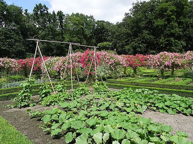  - Het Tuinpad Op / In Nachbars Garten