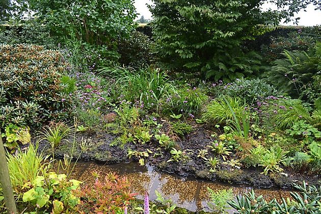  - Het Tuinpad Op / In Nachbars Garten