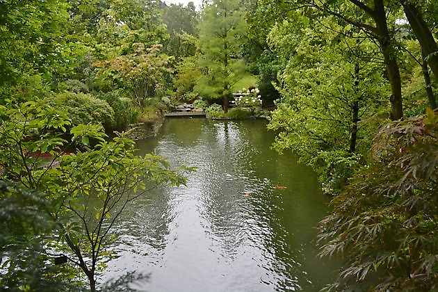 Arboretum Westeresch Vlagtwedde - Het Tuinpad Op / In Nachbars Garten