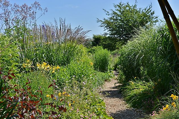  - Het Tuinpad Op / In Nachbars Garten