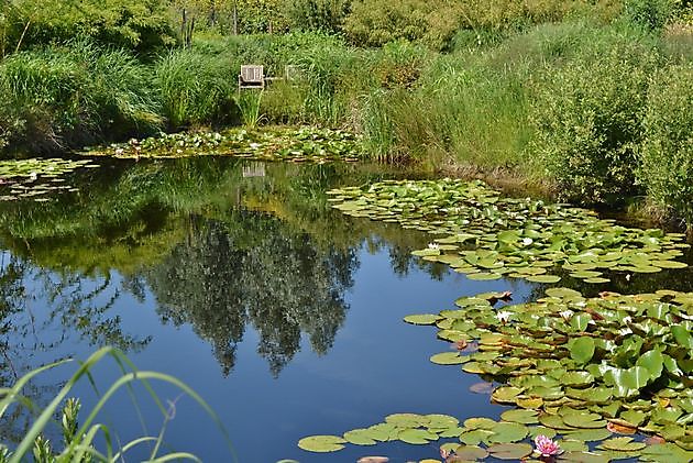  - Het Tuinpad Op / In Nachbars Garten