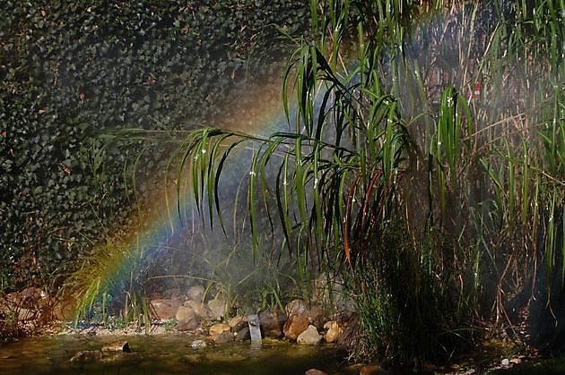 met regenboog - Bibelgarten Werlte Werlte
