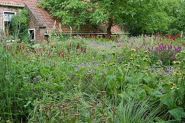  - Het Tuinpad Op / In Nachbars Garten