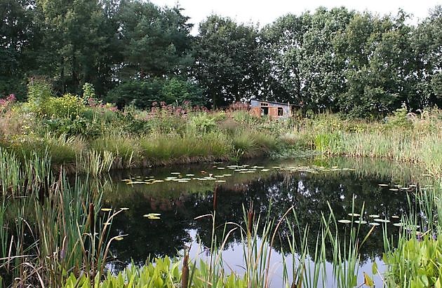 Jan Wilde een Tuin Westerlee