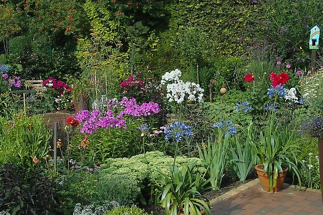  - Het Tuinpad Op / In Nachbars Garten